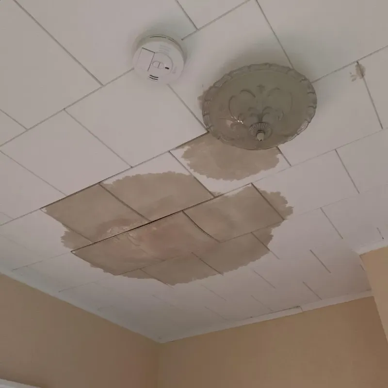 Ceiling Water Damage Repair in Gardnertown, NY