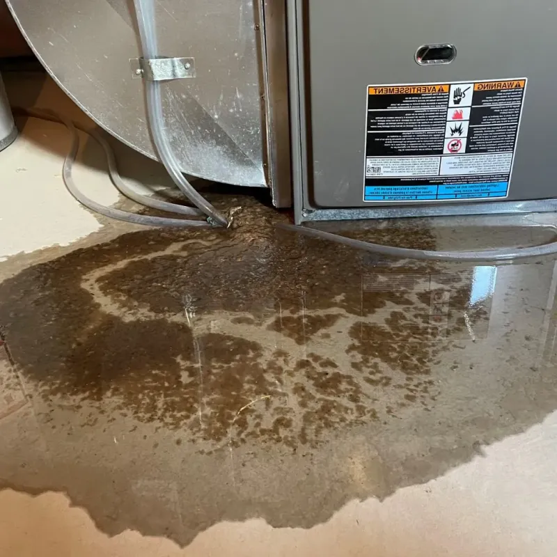 Pipe Burst and Leak Restoration in Gardnertown, NY